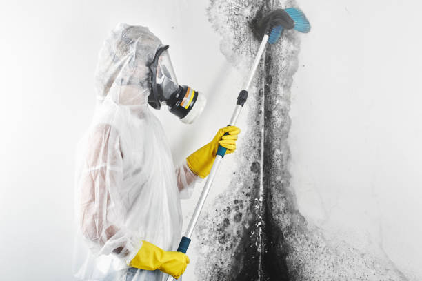 Best Mold Odor Removal Services  in Grandview, OH