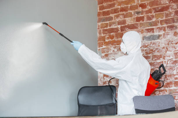 Best Comprehensive Air Testing for Mold Contaminants  in Grandview, OH