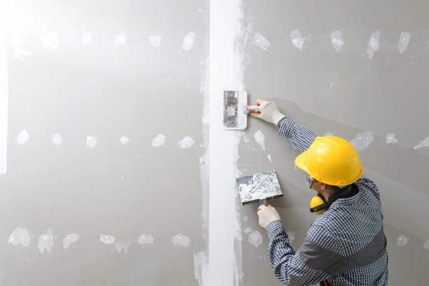 Best Water Damage & Mold Remediation  in Grandview, OH