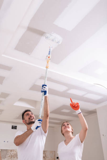 Best Mold Odor Removal Services  in Grandview, OH
