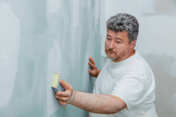 Best Attic Mold Removal  in Grandview, OH