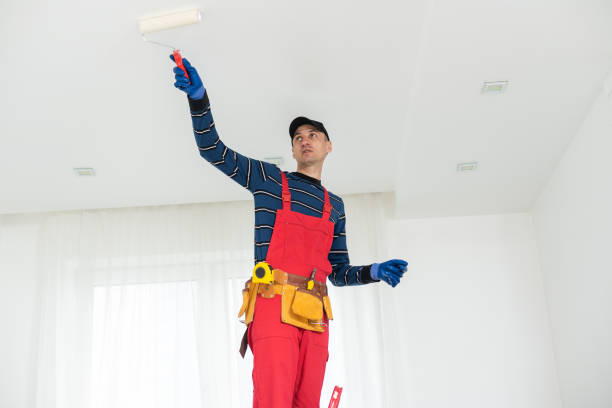 Best Basement Mold Removal  in Grandview, OH